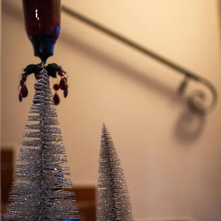 Silyvo Hébergement de vacances