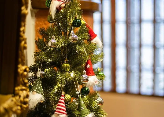 Silyvo * Τρίκαλα